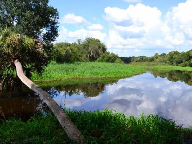Myyaka River State Park